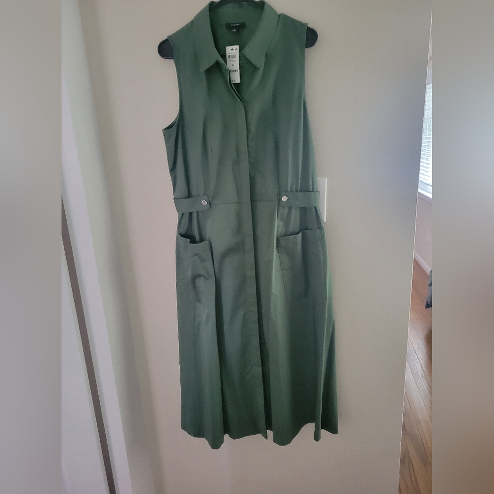 NWT Midi dress